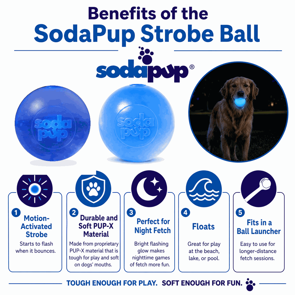 Strobe Light-Up Floating Dog Ball