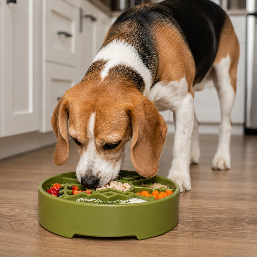 Great Outdoors eBowl Slow Feeder
