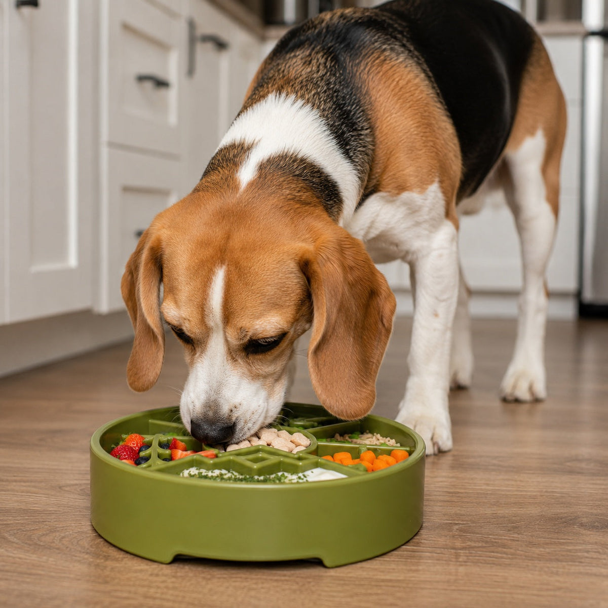 Great Outdoors eBowl Slow Feeder