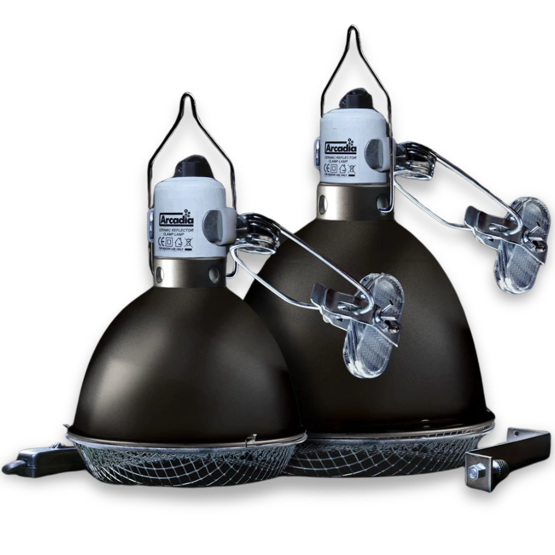 Arcadia Ceramic Reflector Clamp Lamp