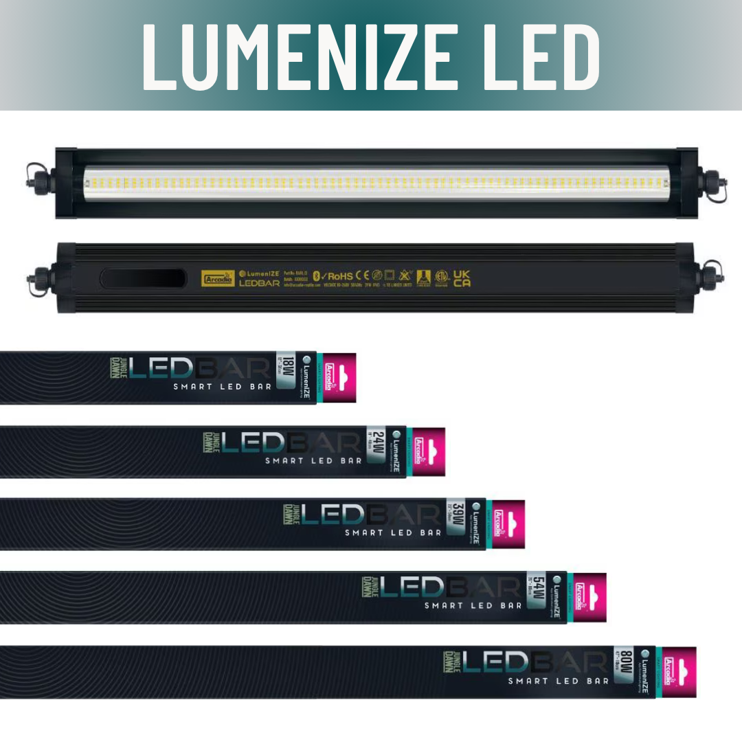 Arcadia Reptile LumenIZE Jungle Dawn LED Bar