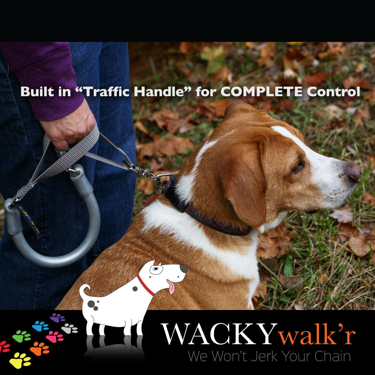 Short No-Pull Dog Leash