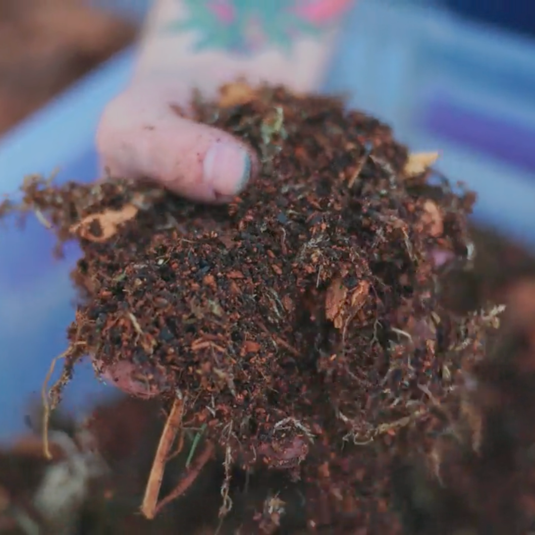 TropicalBase Bioactive Terrarium Mix