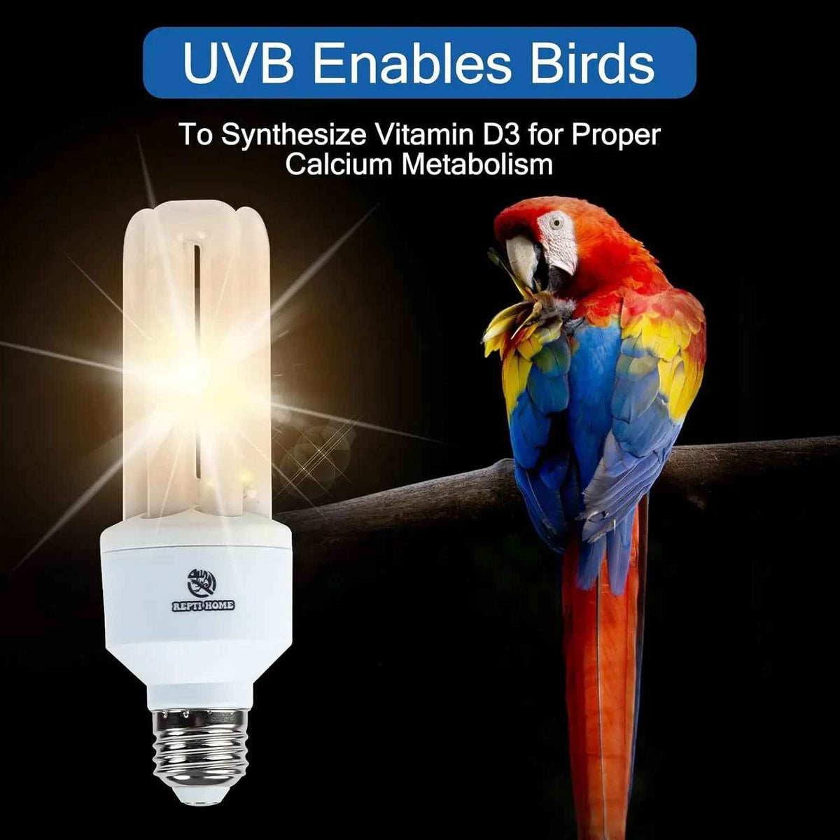 Ultraviolet light bulb with a parrot on a branch, highlighting UVB benefits for birds.