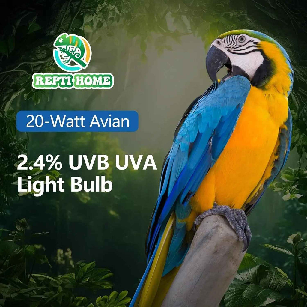 Blue and yellow parrot on a branch with Repti Home product information overlay.