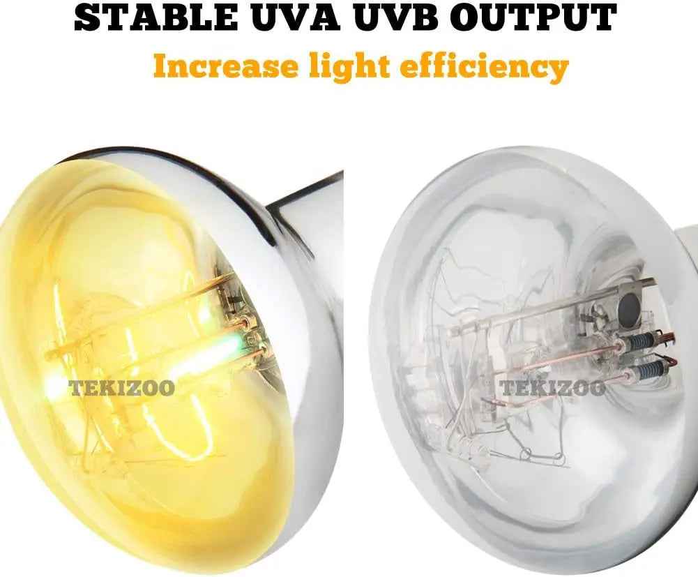 A product comparison graphic showing a UV light bulb in two states: on the left, glowing with a warm yellow light, and on the right, clear and unlit. Bold text at the top reads 'STABLE UVA UVB OUTPUT' and 'Increase light efficiency'.