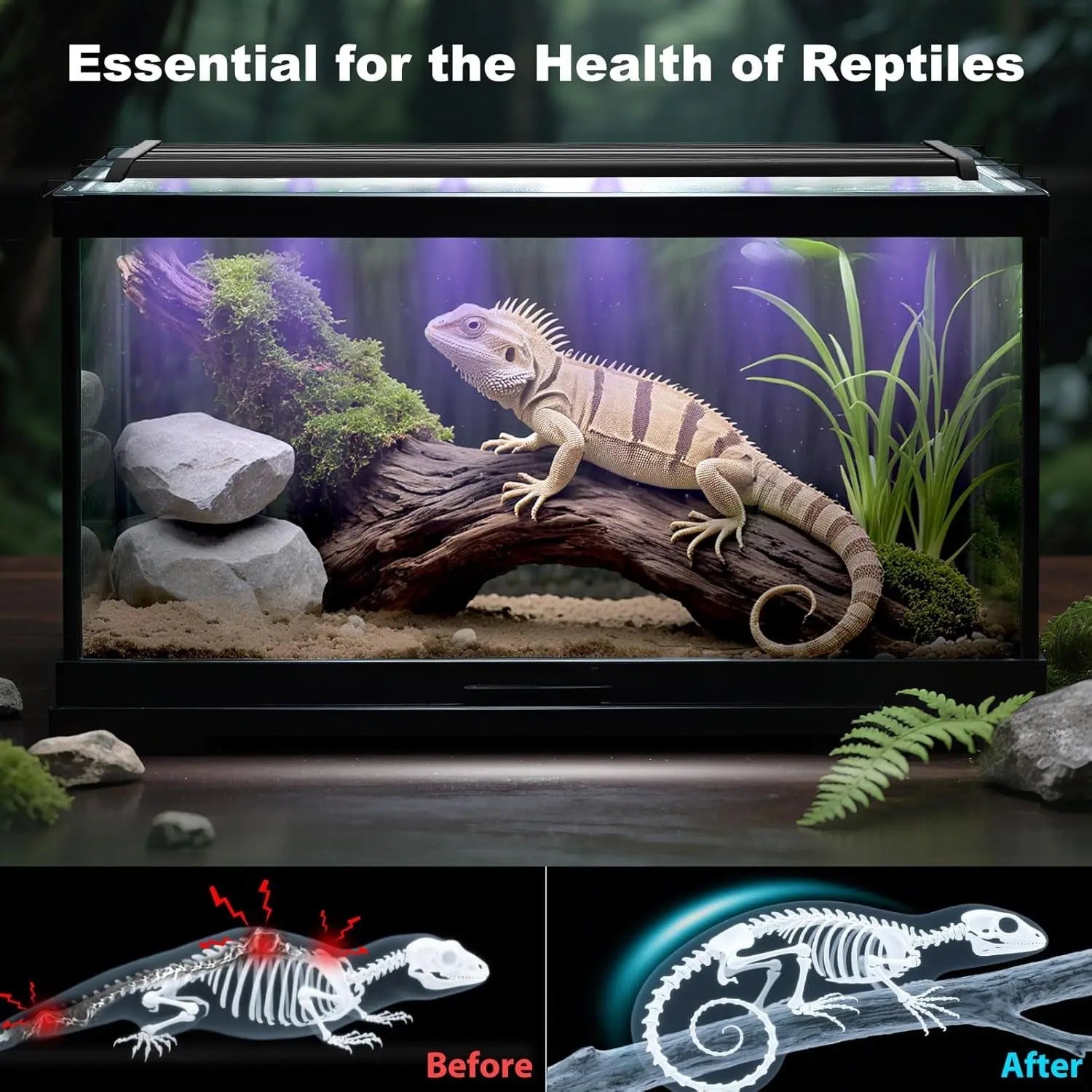 UVB Reptile Terrarium Light – 28.5" 18W LED UVA/UVB Lamp with Ferguson Zone Modes, Dimmer & 24H Timer | 10,000+ Hour Lifespan