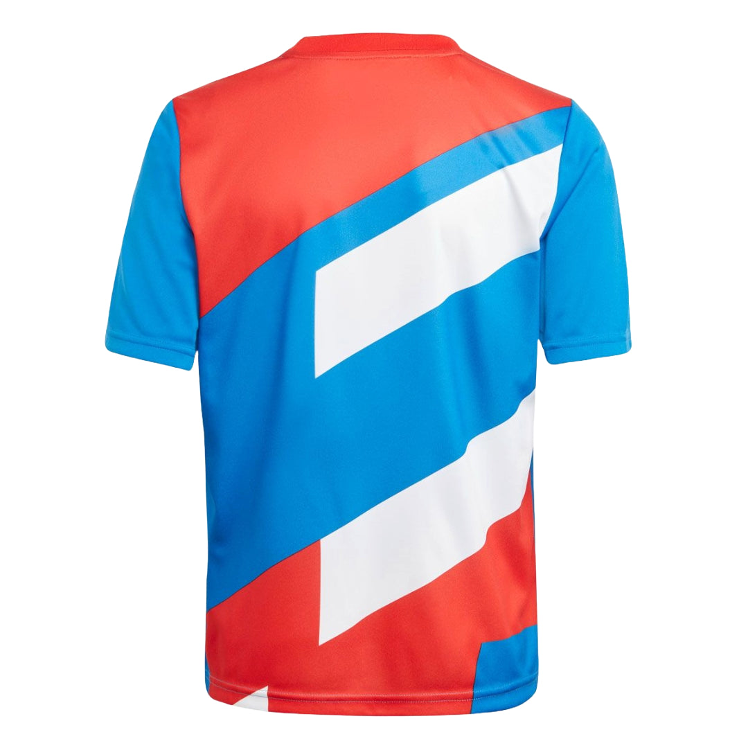 adidas Youth FC Bayern München Pre-Match Jersey - Red / Bright Royal (HU1260)