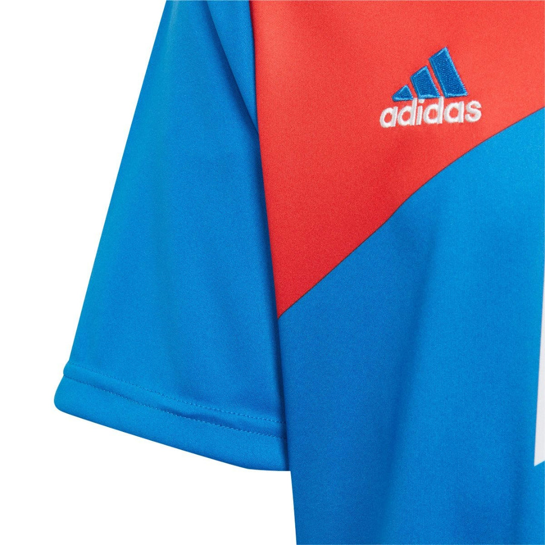adidas Youth FC Bayern München Pre-Match Jersey - Red / Bright Royal (HU1260)