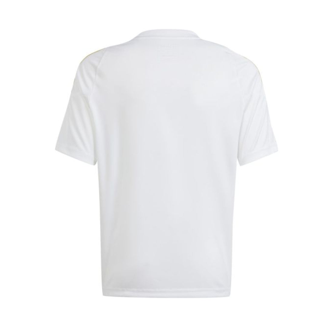 adidas Youth Messi Training Jersey - White / Sky Blue & Blue (IS6470 / IS6471)