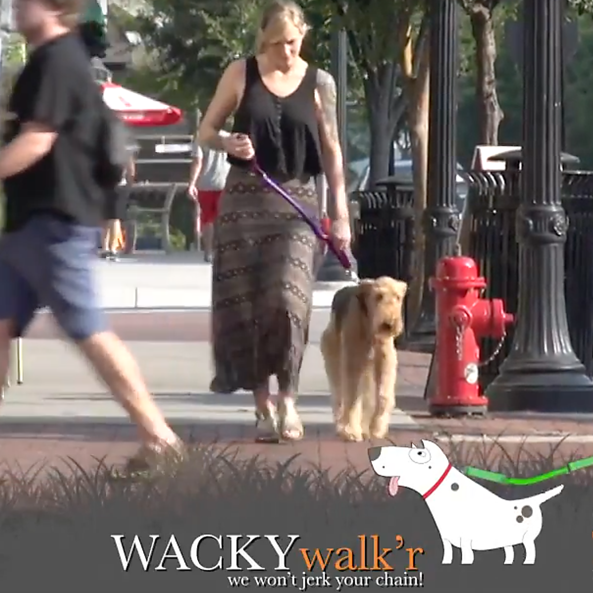 Short No-Pull Dog Leash