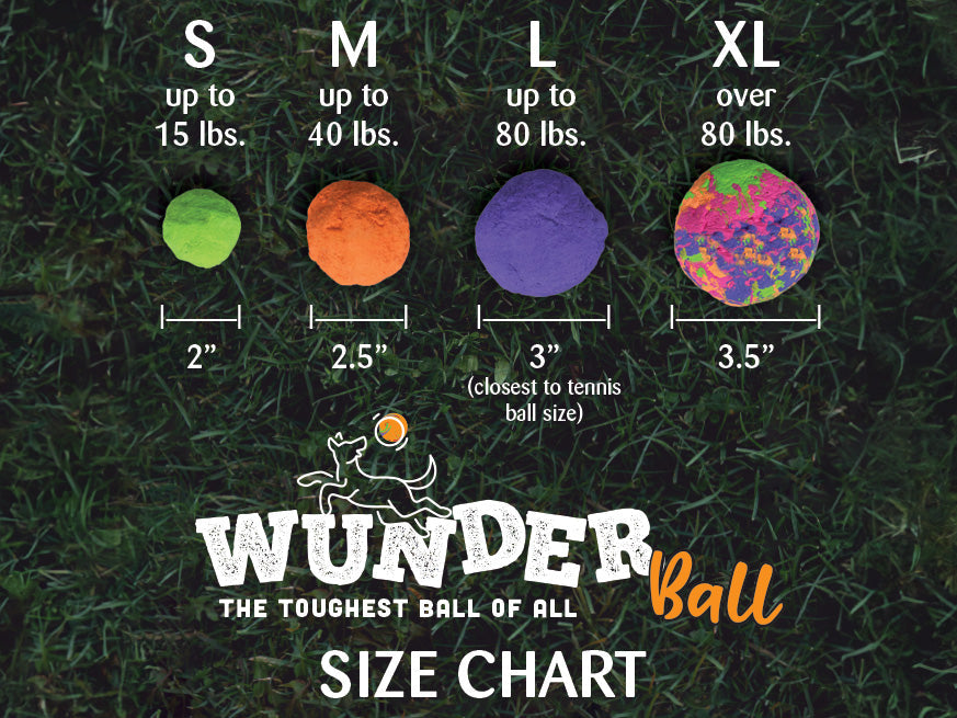 Natural Rubber Fetch Ball for Dogs