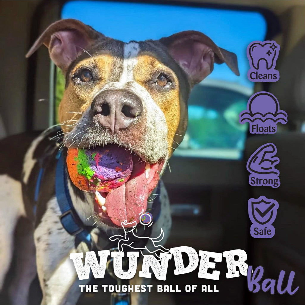 Natural Rubber Fetch Ball for Dogs