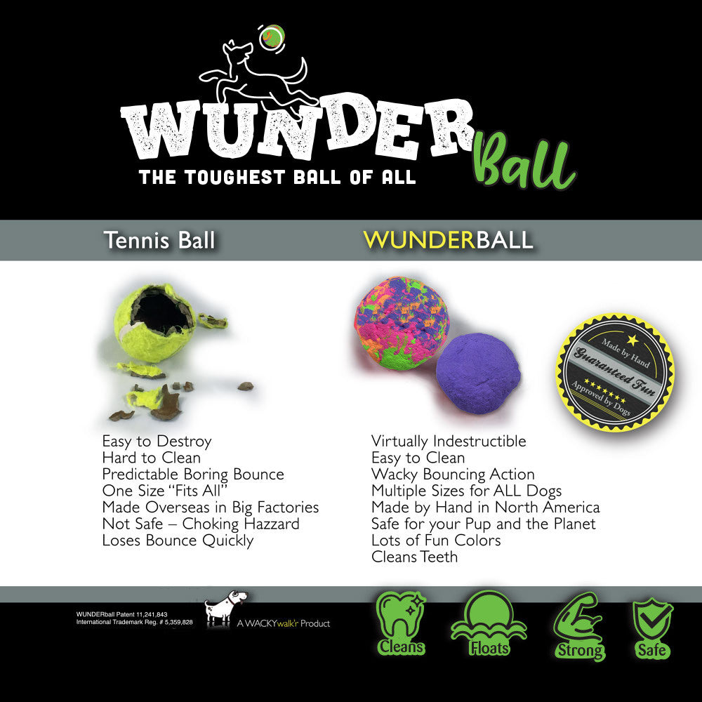 Natural Rubber Fetch Ball for Dogs
