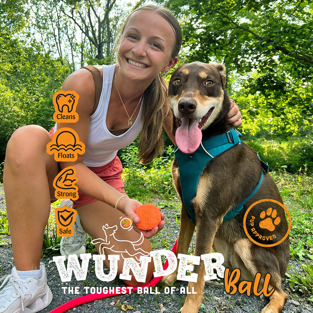 Natural Rubber Fetch Ball for Dogs