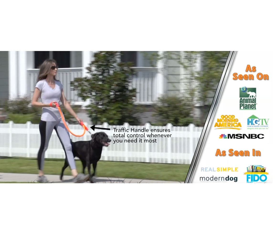 The Original No-Pull Dog Leash