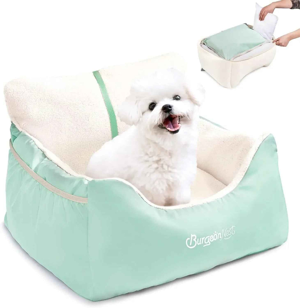 White dog in a light green pet bed with a person holding a white pillow above it.