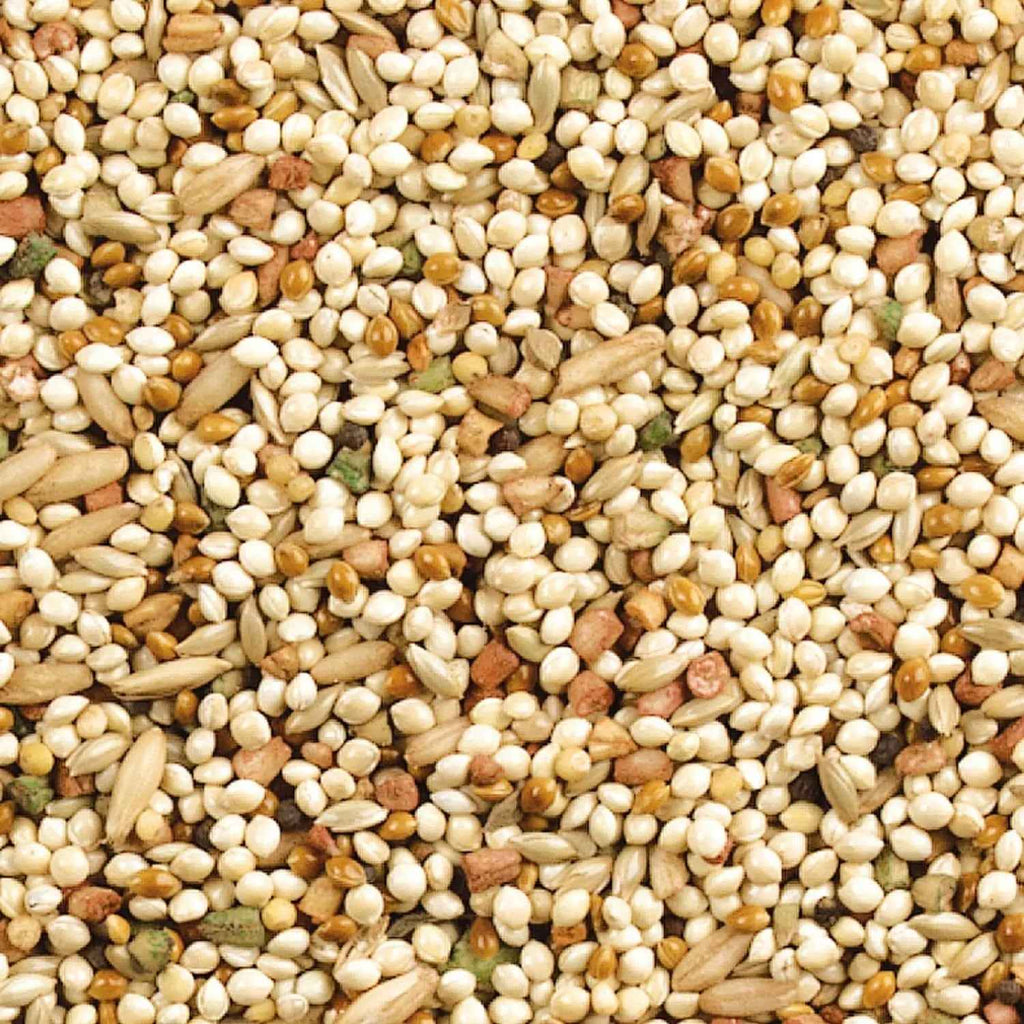 Close-up of a mix of small seeds and grains in various colors.