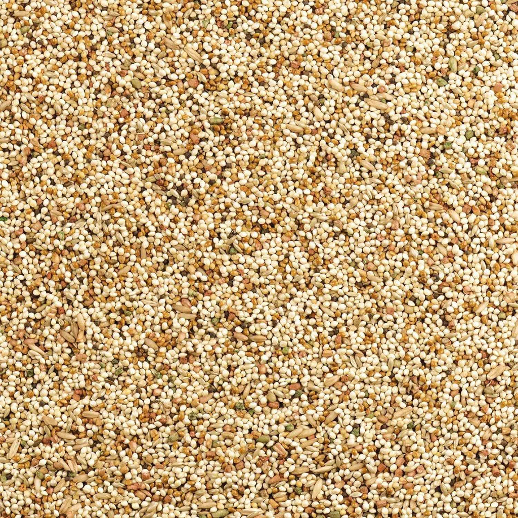 A close-up, top-down view of a uniform mixture of small beige, cream, and light brown seeds or grains filling the entire frame.