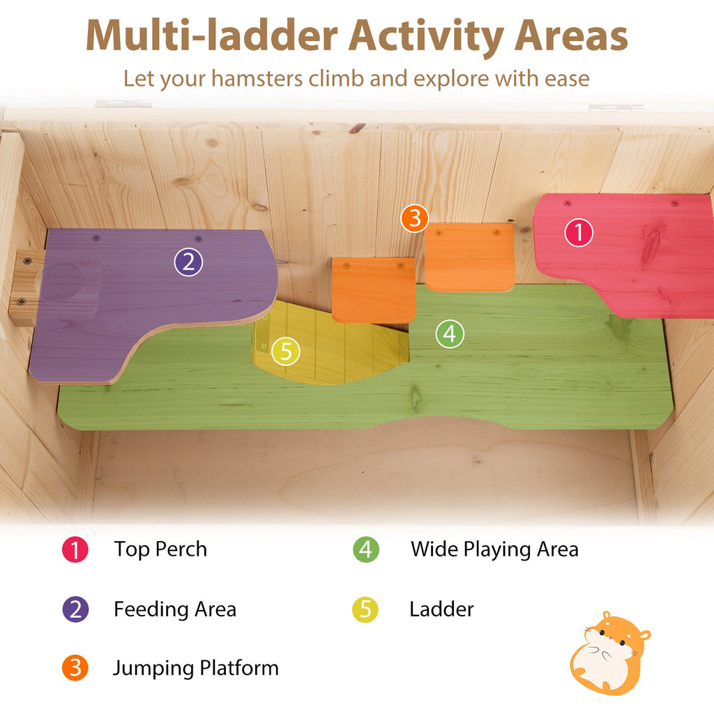 Multi-ladder activity area for hamsters with labeled sections on a wooden background.