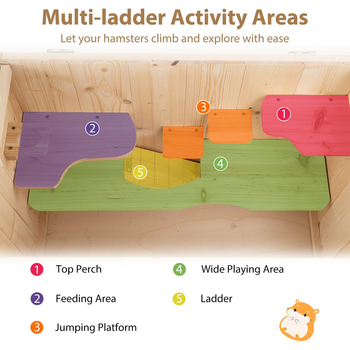 Multi-ladder activity area for hamsters with labeled sections on a wooden background.