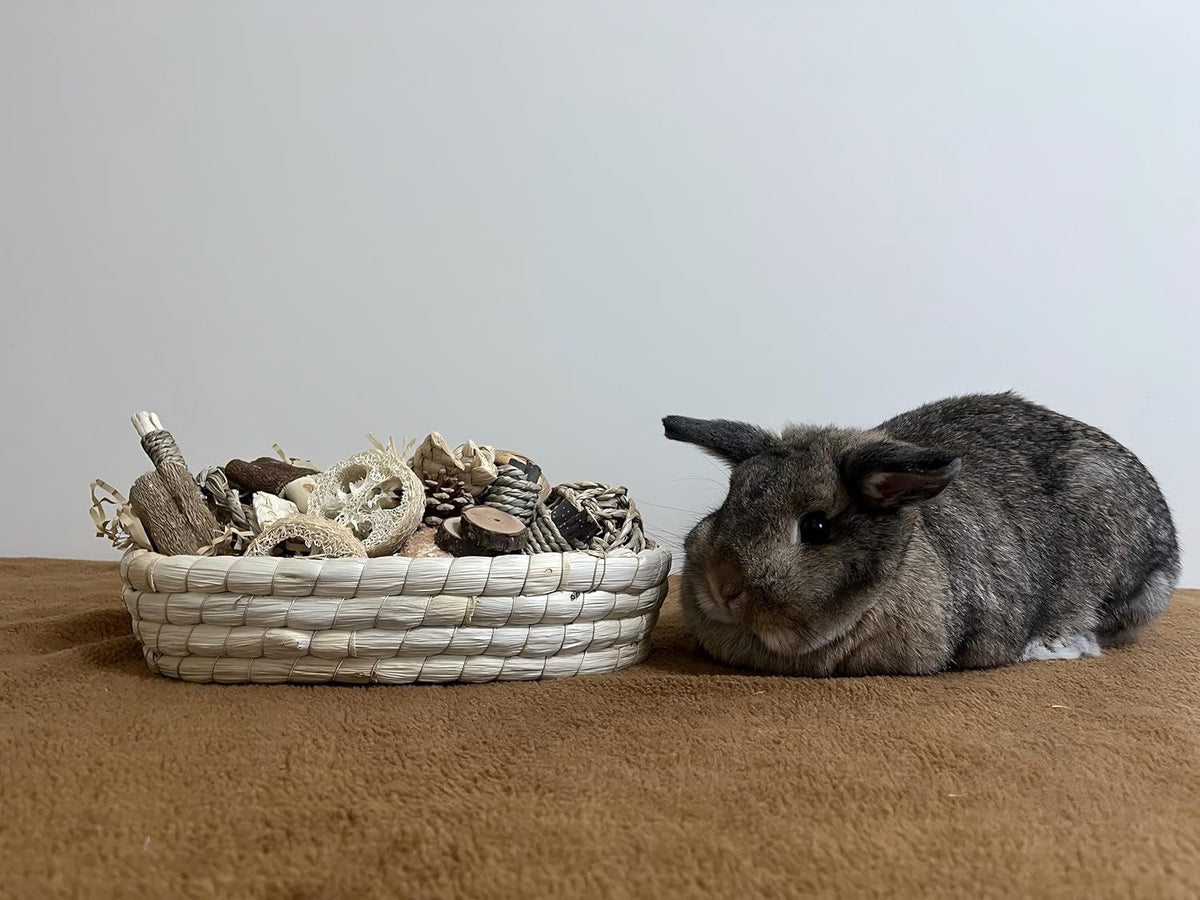 31-Piece Natural Rabbit Chew Toy Set