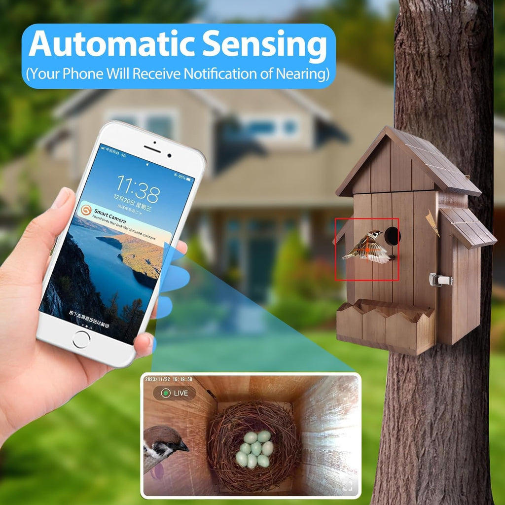 Solar-Powered Birdhouse with 1080P HD WiFi Camera