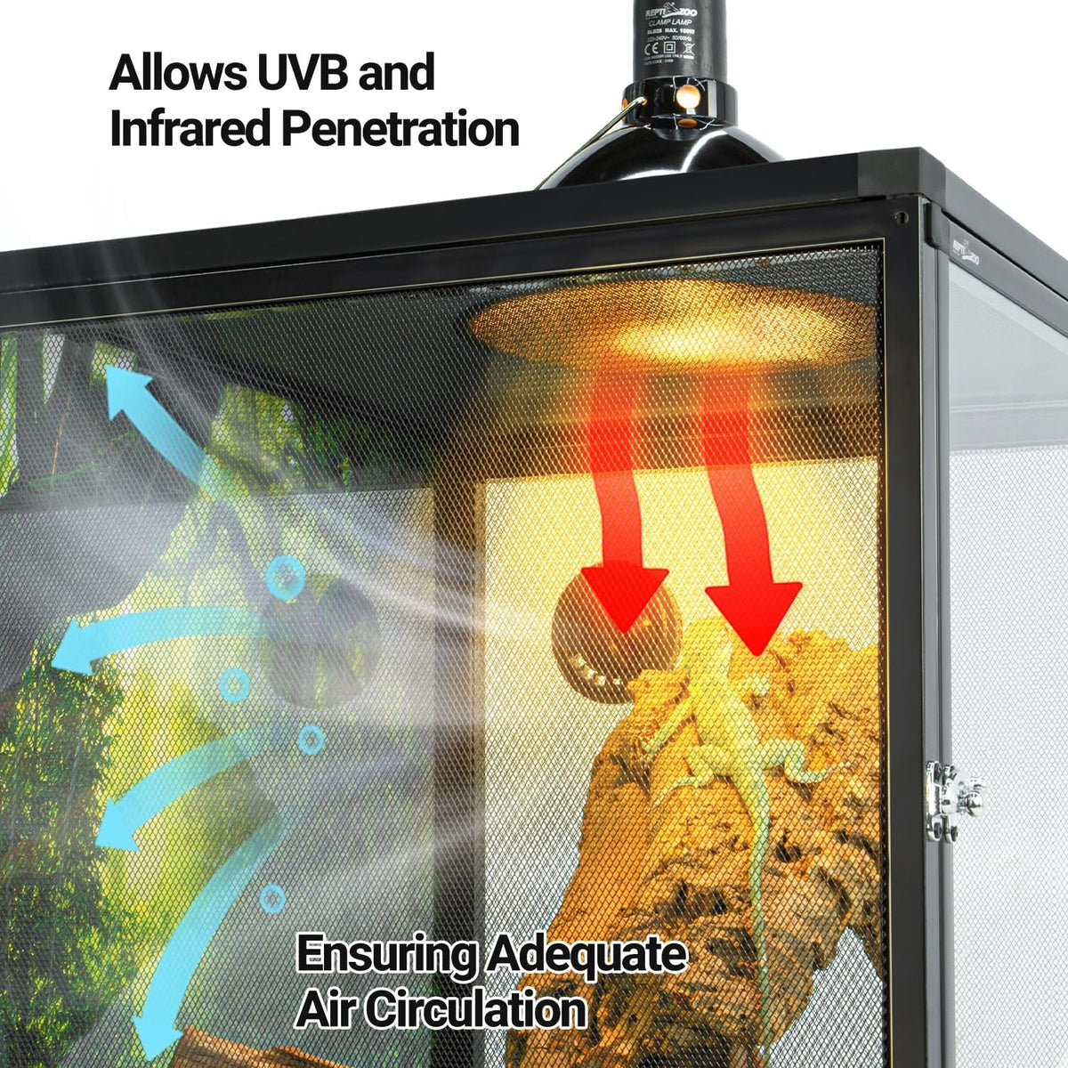 Diagram of a terrarium with UVB and infrared light and air circulation arrows.