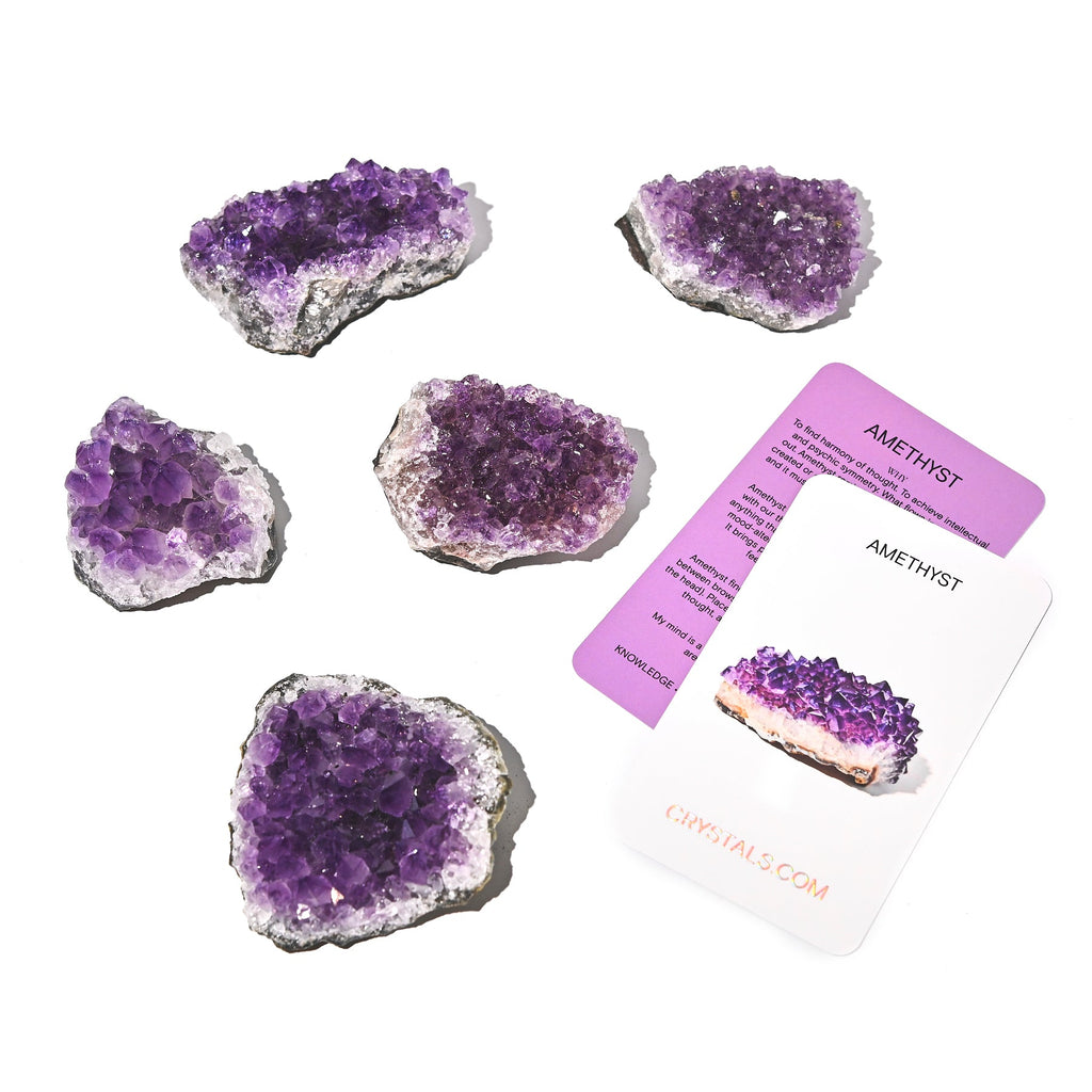 Five amethyst clusters in varied shapes beside purple and white collector cards on a white background.
