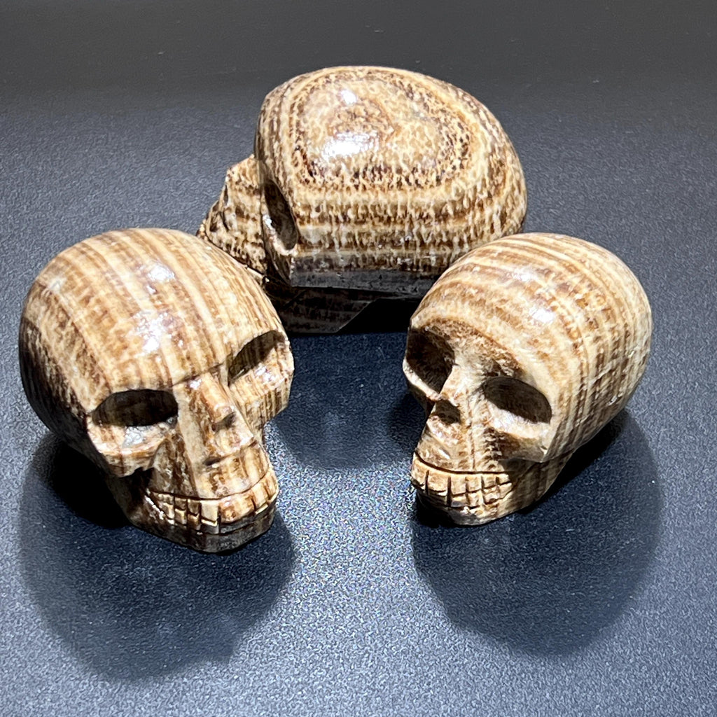 Front and side views of three polished aragonite skull carvings with cream and brown stripes on a dark surface.