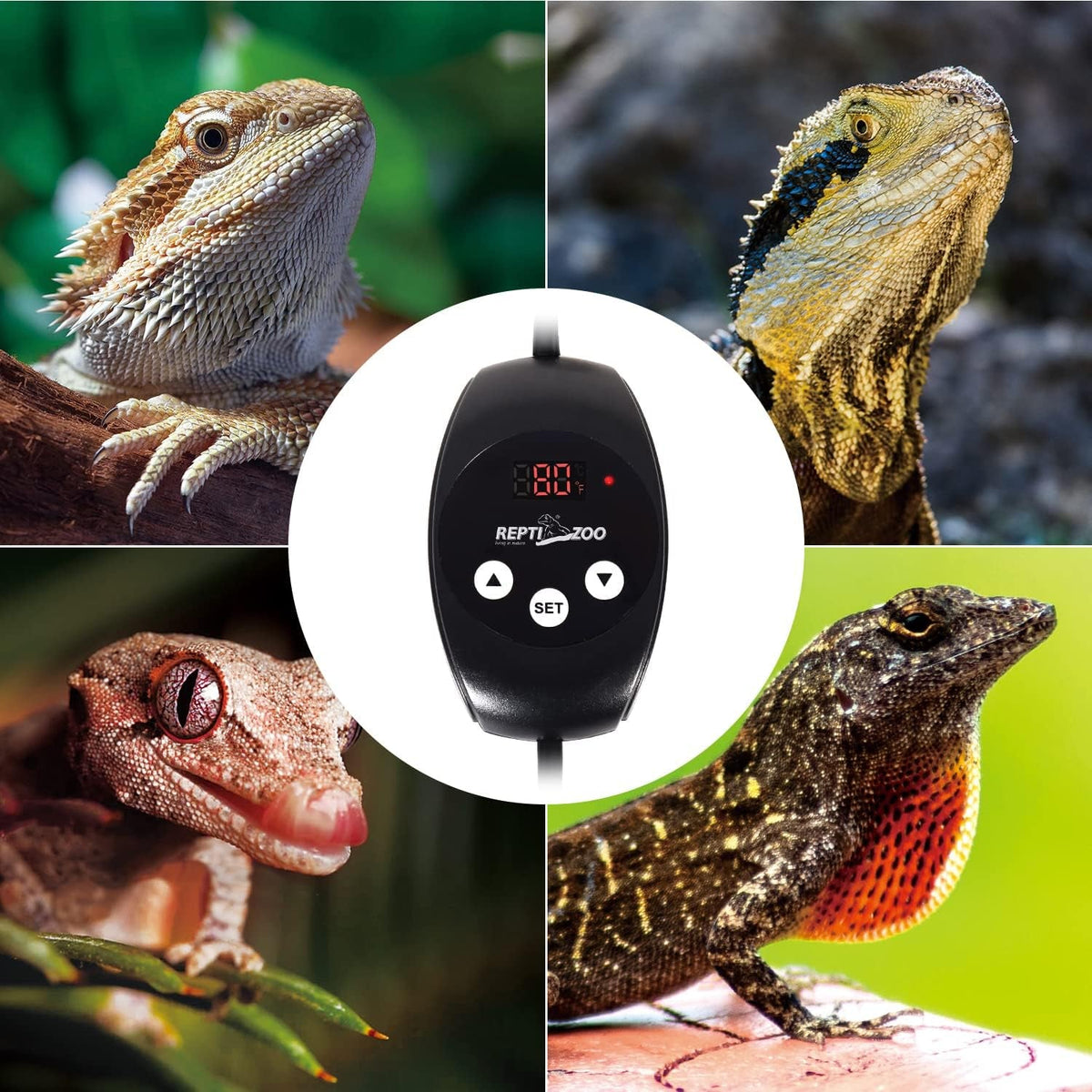 Reptile PID Dimming Thermostat