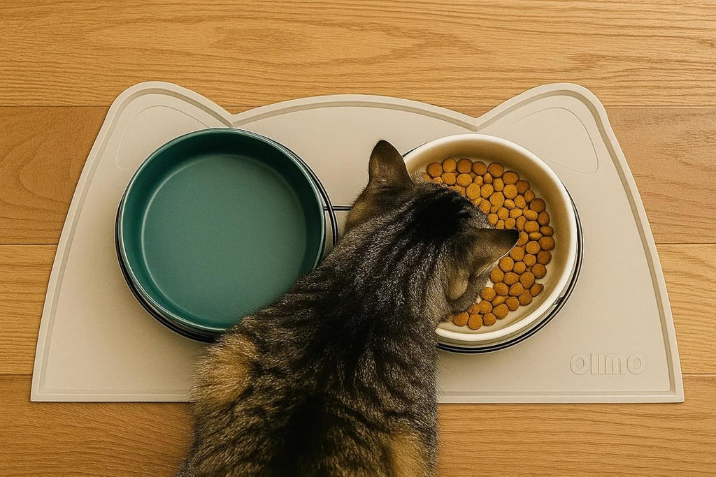 Cat eating from a bowl of food on a mat with a water bowl next to it on a wooden floor.