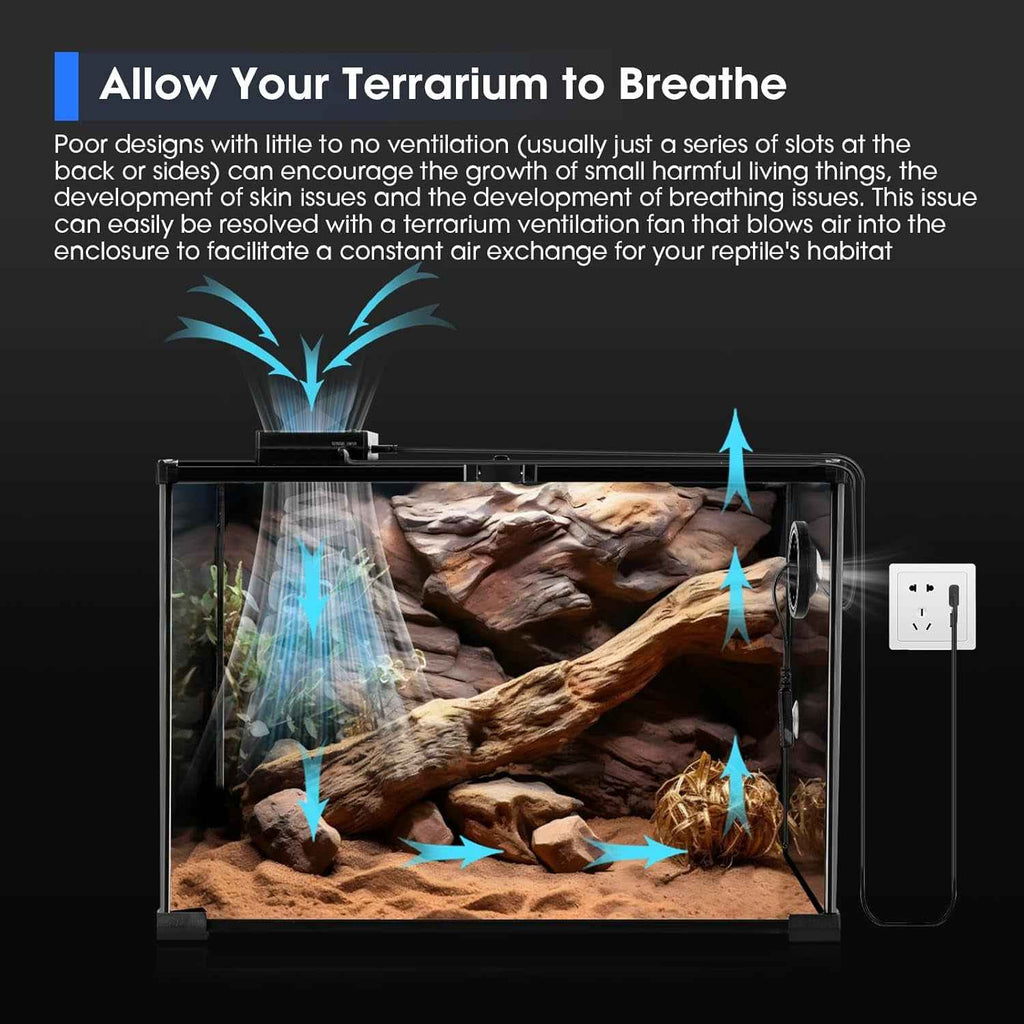 Terrarium with ventilation system and text about terrarium care