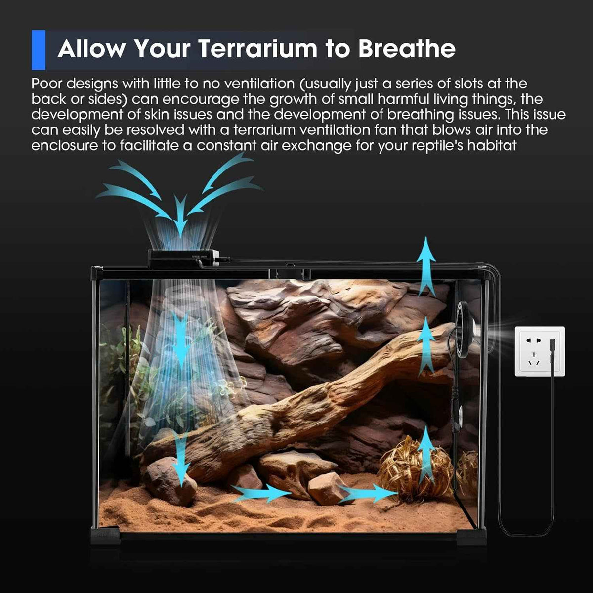 Terrarium with ventilation system and text about terrarium care