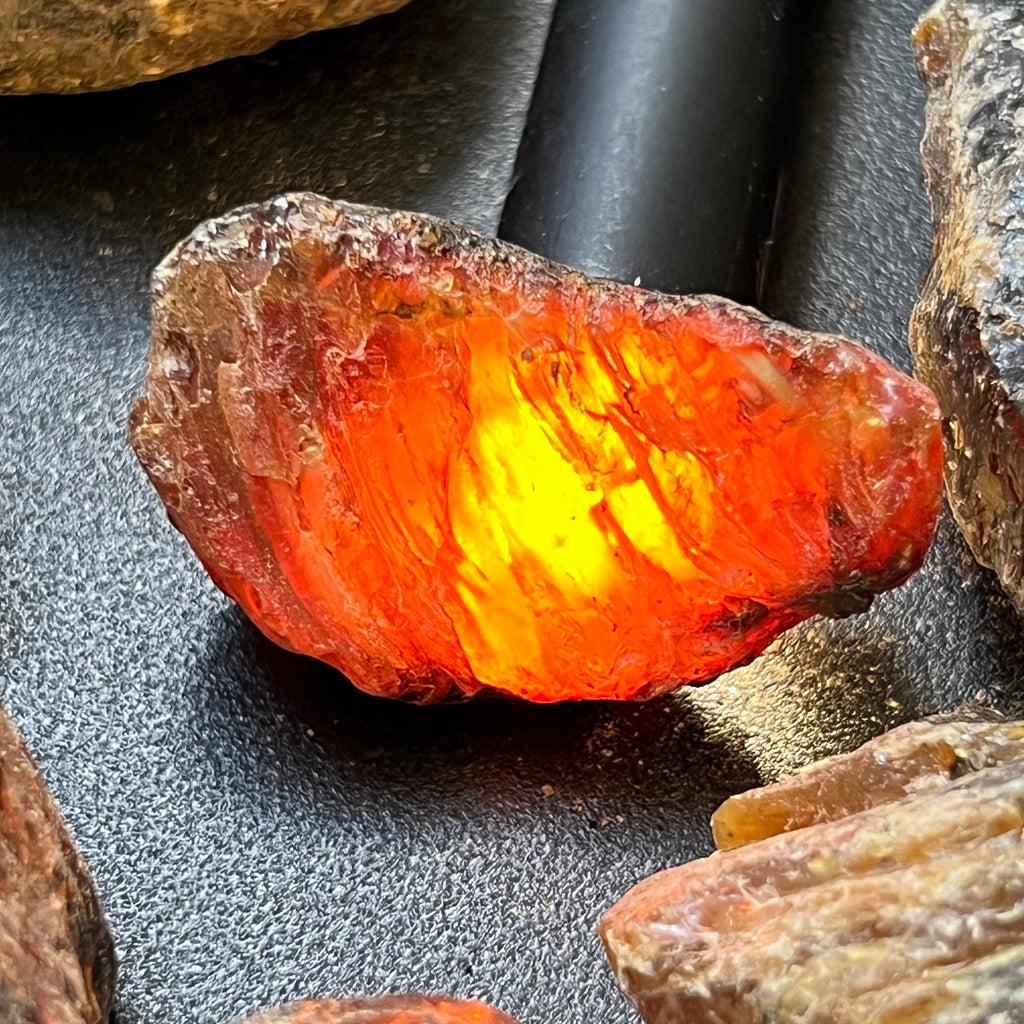 Close-up of backlit black amber revealing a translucent orange interior and bright yellow center
