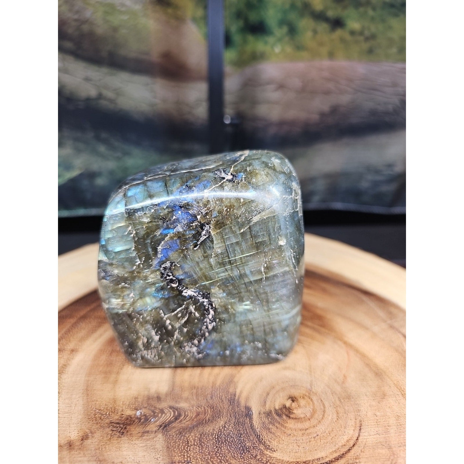 Rainbow Labradorite Spectrolite Specimen — 1.60 lb | Large Natural Crystal from Madagascar