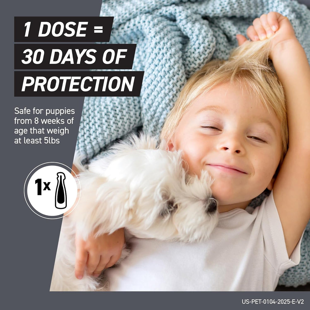 Frontline Shield Flea & Tick Treatment for Dogs 5–10 lbs – 3 Month Supply