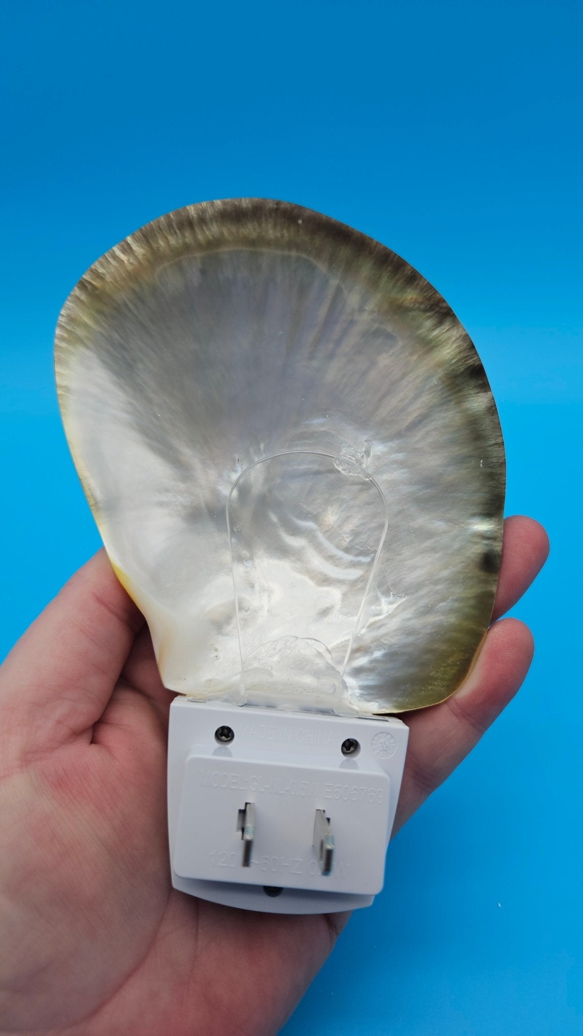 Black Lip Mother of Pearl Shell LED Night Light | Coastal Home Décor