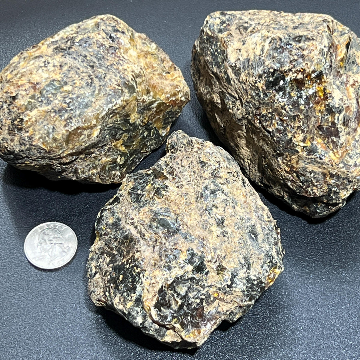 Three irregular black amber resin boulders with textured tan surfaces beside a quarter for scale