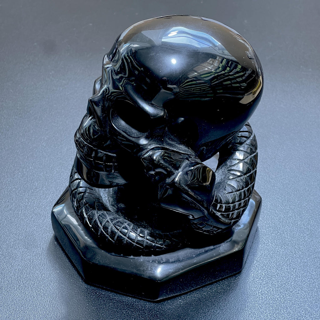 Glossy black obsidian skull carving with a coiled snake, detailed scales and a shaped base