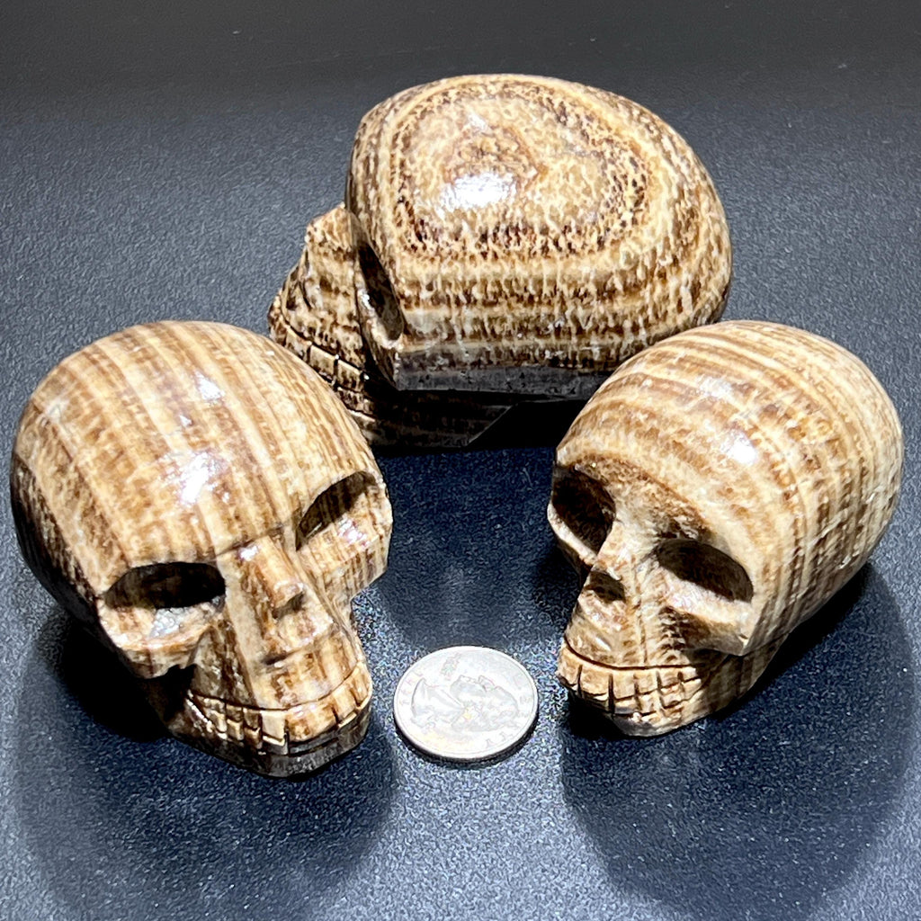 Three brown-banded aragonite skull carvings showing front and side views beside a quarter for size comparison.