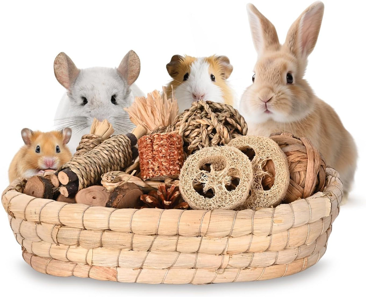 31-Piece Natural Rabbit Chew Toy Set