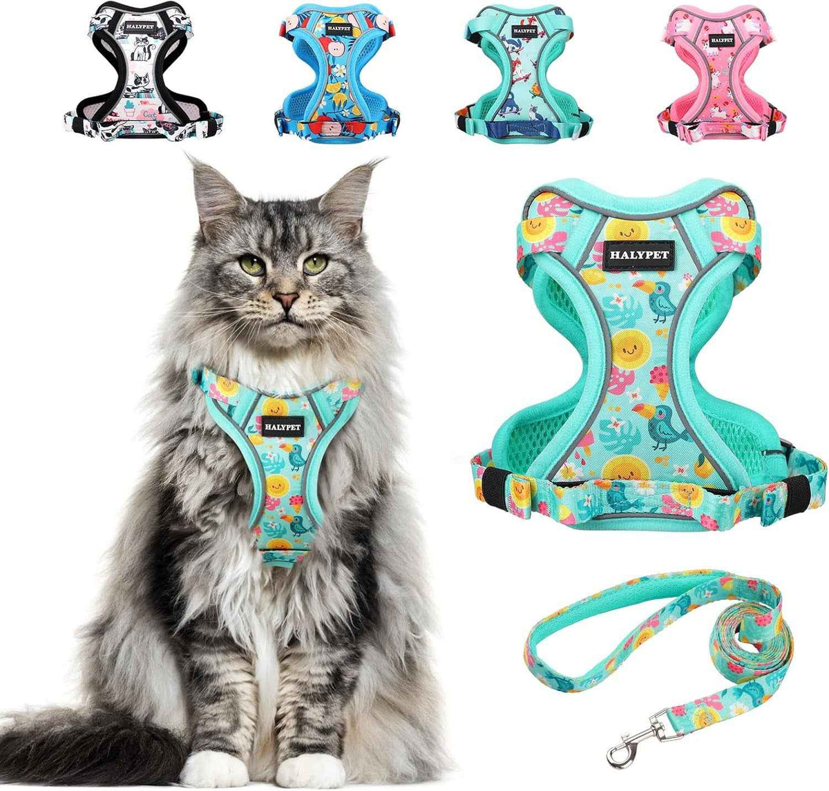 Cat wearing a colorful harness with multiple harnesses and a leash displayed above on a white background.