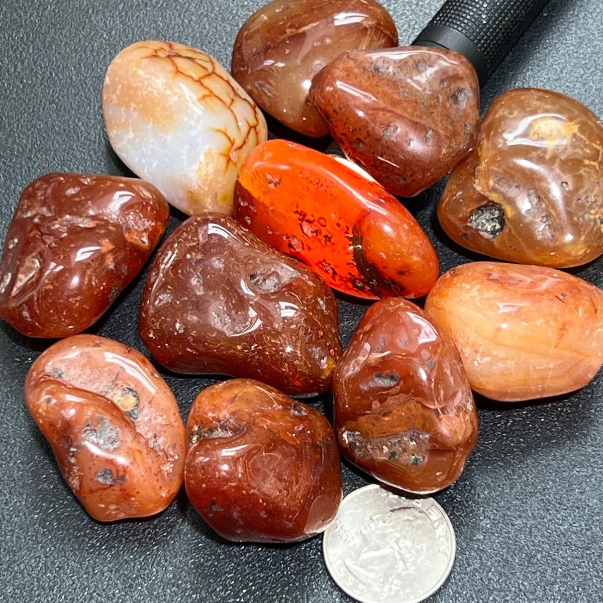 Assorted orange and red carnelian agate tumbled stones with a quarter for scale and a flashlight behind them