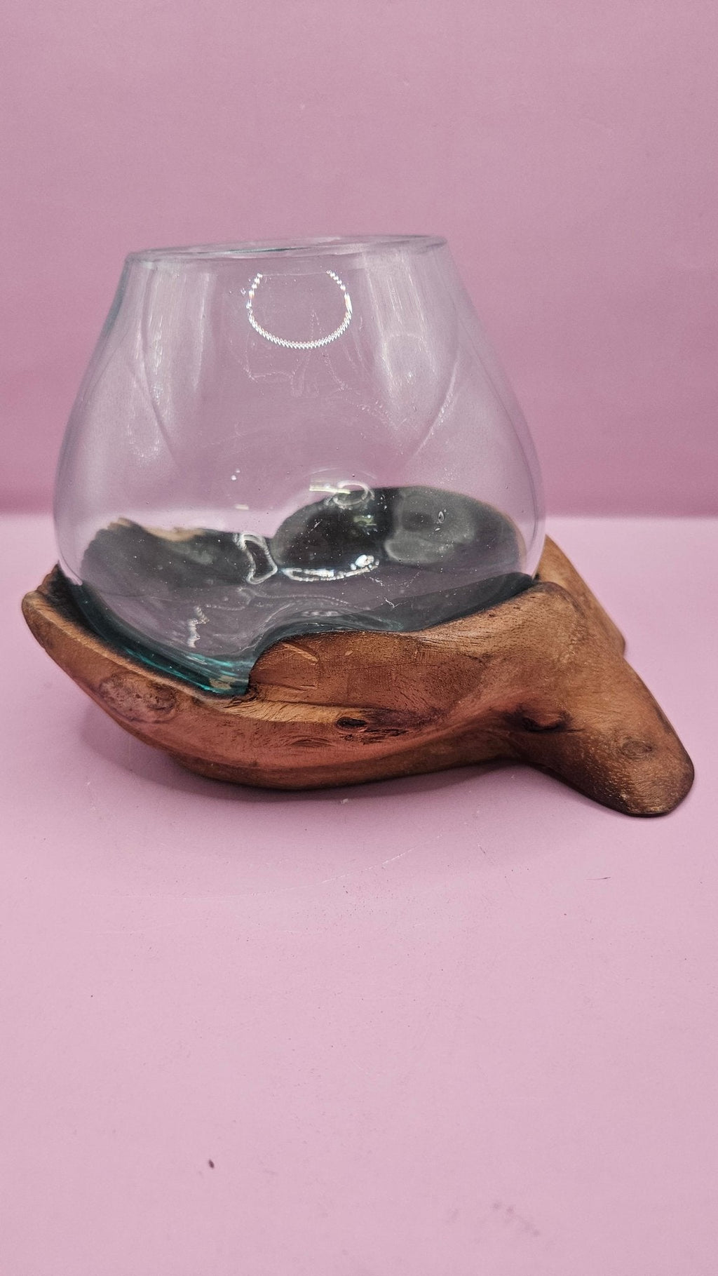 Carved Wooden Hand & Molten Glass Terrarium