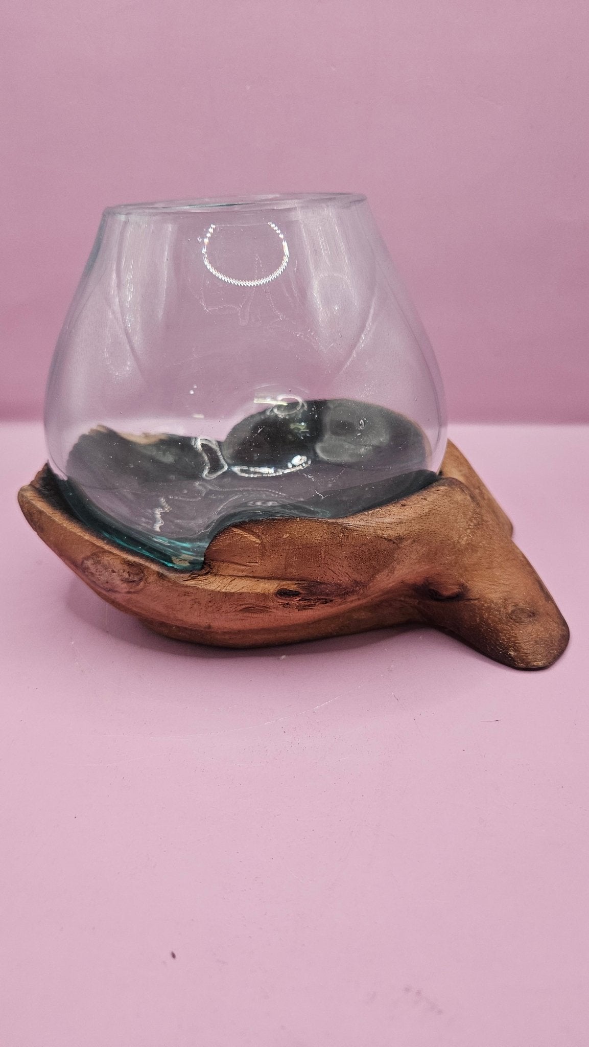 Carved Wooden Hand & Molten Glass Terrarium