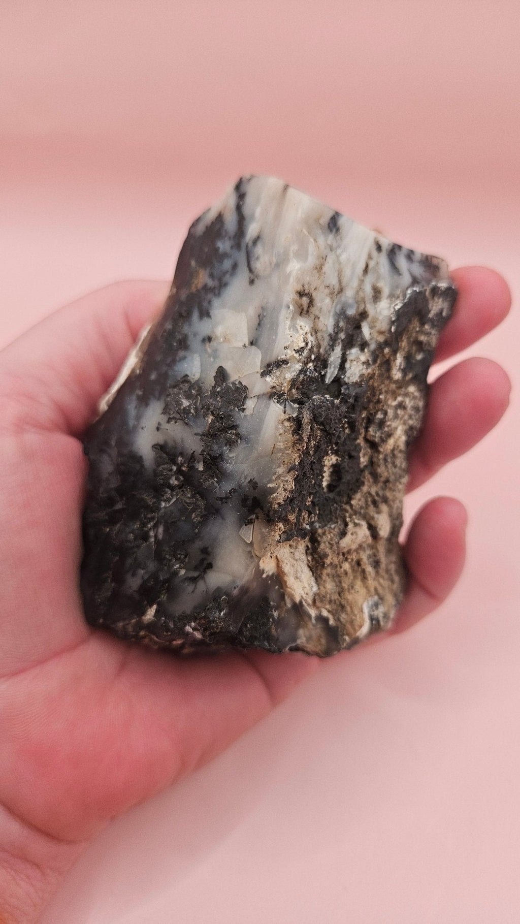 Dendritic Opal Rough Specimen