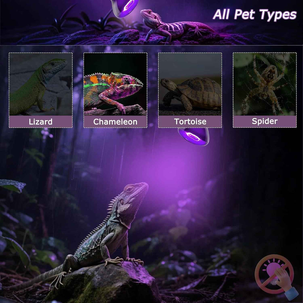UV light globe for reptiles and small animals, shown glowing purple in a jungle scene with a lizard, chameleon, tortoise, and spider, with text 'All Pet Types' and labeled inset images.