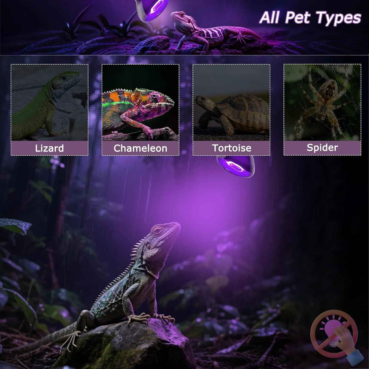 UV light globe for reptiles and small animals, shown glowing purple in a jungle scene with a lizard, chameleon, tortoise, and spider, with text 'All Pet Types' and labeled inset images.