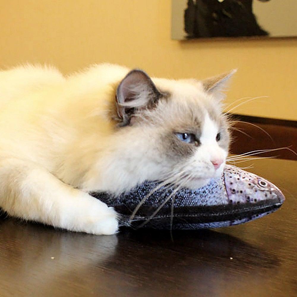 Electric Flopping Fish Cat Toy
